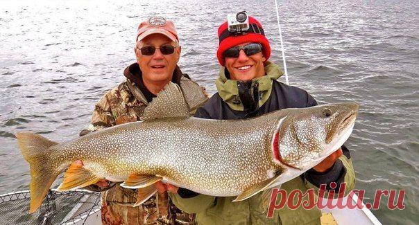 Рыбалка на Аландах / Богатая добыча