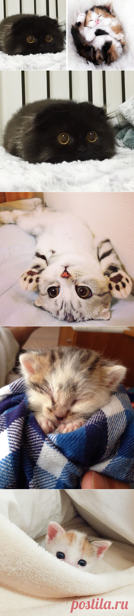 В гостях у Михалыча