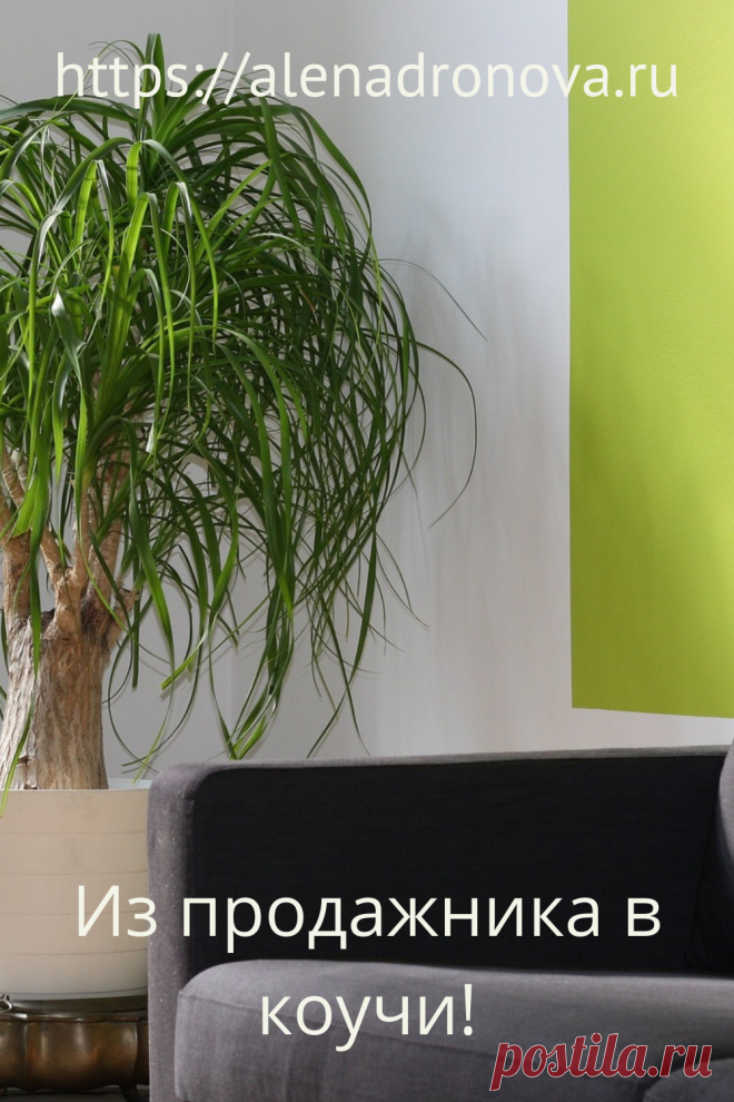 Из продажника в коучи. 
Из продажника в коучи👨🏼‍💼
⠀
Один из моих любимых клиентов страдал от собственной застенчивости и считал, что не умеет общаться с людьми🤭
⠀
Чтобы это исправить, он устроился менеджером по продажам на холодные обзвоны. Смело, да?
Вот в этот период своей жизни он и взял у меня 15 сессий. Мы прорабатывали детство и отношения с родными в основном. А также цели и планы.