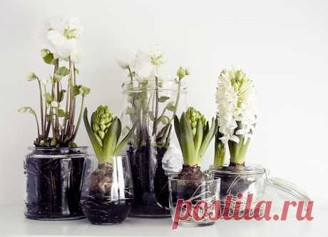 Love the home you have: уроки любви к дому от Melissa Michaels – Woman & Delice