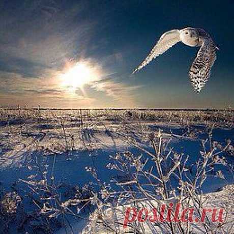 Берегите природу