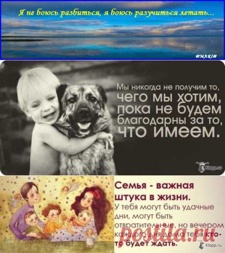 Мы никогда не получим то, чего мы хотим, пока не будем благодарны за то, что имеем.