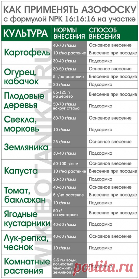 Азофоска. Как применять на участке