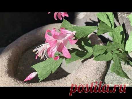 ABC TV | How To Make Christmas Cactus Tree With Crepe Paper Craft Tutorial