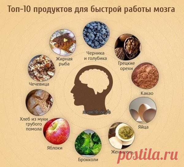 Обсуждения - ЕЛЕНА - Группы Мой Мир