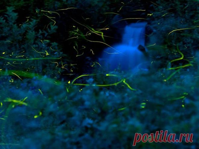 Потрясающий кадр! | НАУКА И ЖИЗНЬ