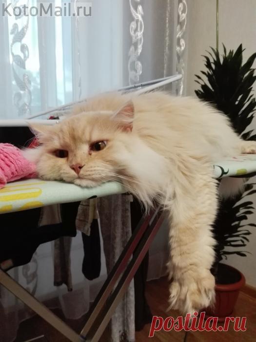 Лето... Солнце... Море... Пляж... Вот что хочется сейчас!