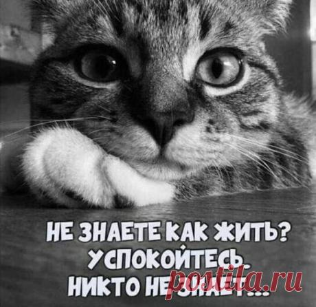 Анамнез жизни доктора