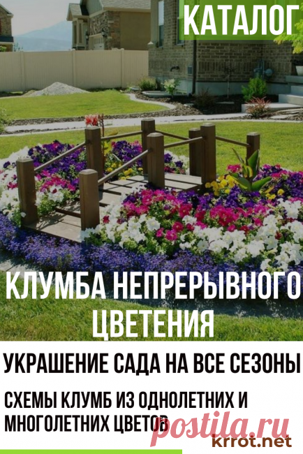 Схемы Красивых Клумб Непрерывного Цветения из Многолетников