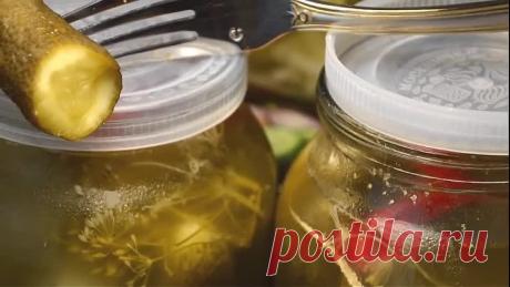 ОГУРЦЫ НА ЗИМУ за 5 минут. БАБУШКИН РЕЦЕПТ Без Уксуса, под КАПРОНОВОЙ Крышкой