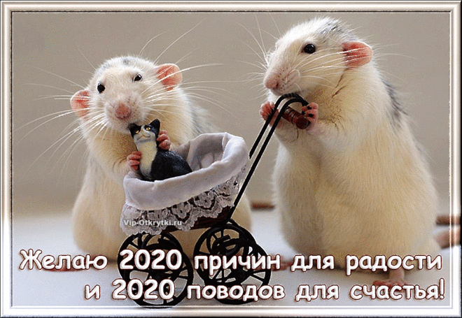 Желаю в 2020 году | Музыкальные Открытки Бесплатно