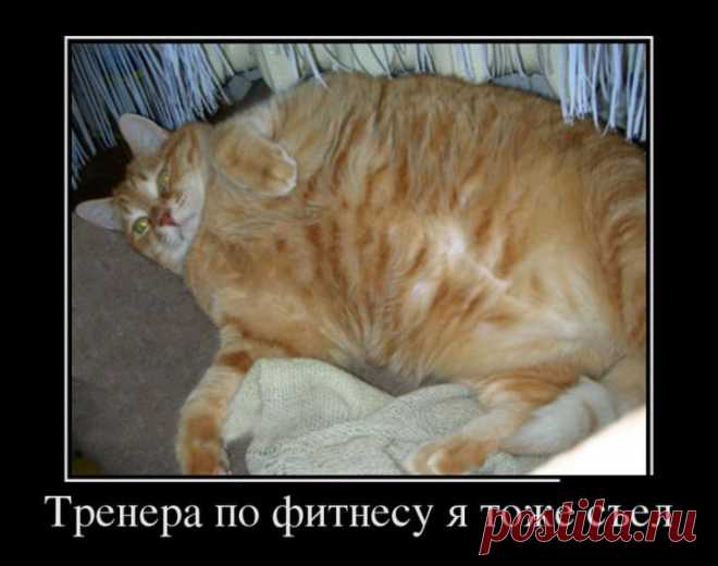 1358782196_1_resize.jpg (762×600)