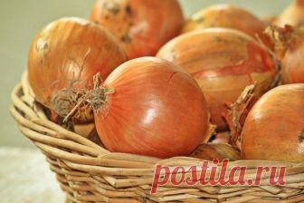 Луковая шелуха - не мусор, а лучшее удобрение для огорода. Как применять луковую шелуху?  
 

Скоро наступит время подготовки лука к посадке. Отбирая лук, удаляется луковая шелуха, которую ни в коем случае не надо выбрасывать! Это лучшее органическое удобрение!

 


Луковая шелуха содержи…