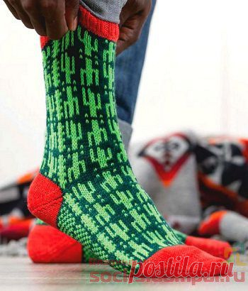 Вязаные носки «Кактус пустыни Сонора»