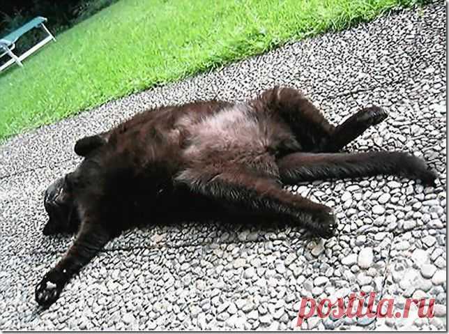 Спящие. Воскресный пост