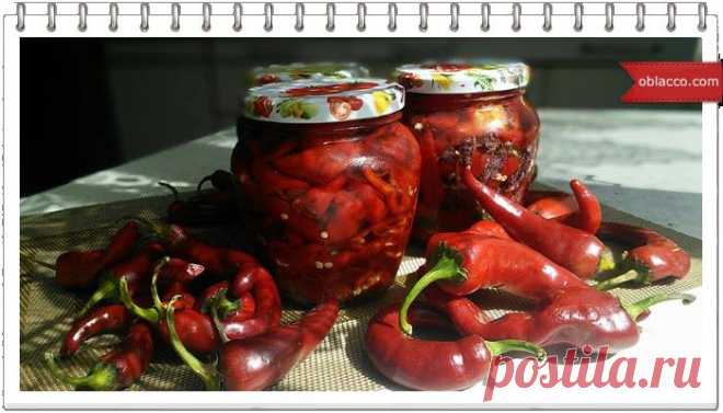 Красный острый перец. «Мамин рецепт» (закусочный) | oblacco