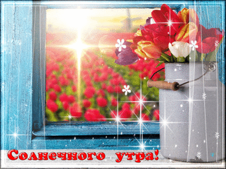 (14) Мой Мир@Mail.Ru