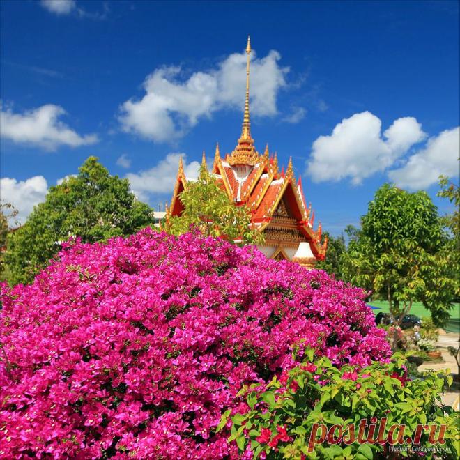 Остров Пхукет (тайск. ภูเก็ต), Таиланд - Блог Три и ночка