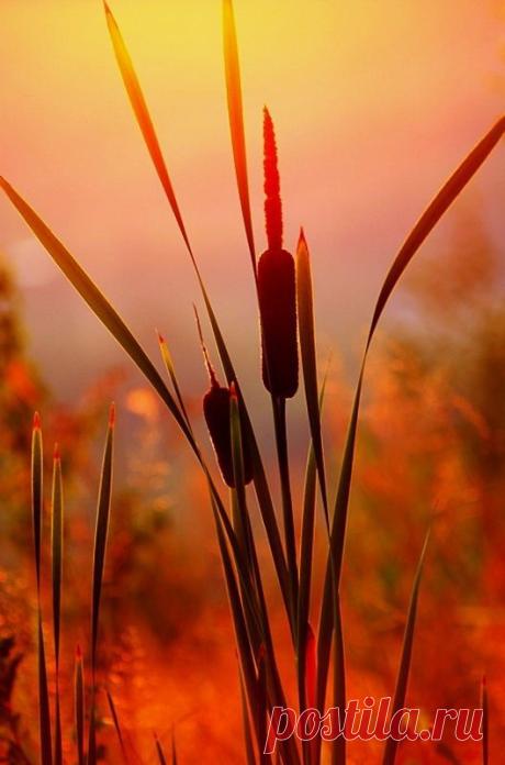 Barbara Savage приколол(а) это к доске sunrise and sunset