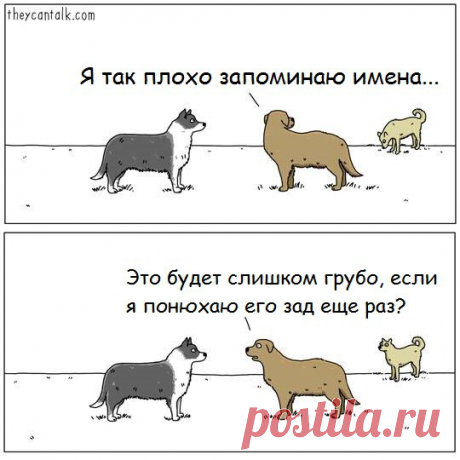Just Dogs: собаки