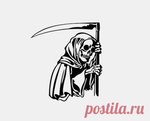 Ухудшение обоняния у пожилых людей — признак скорой смерти