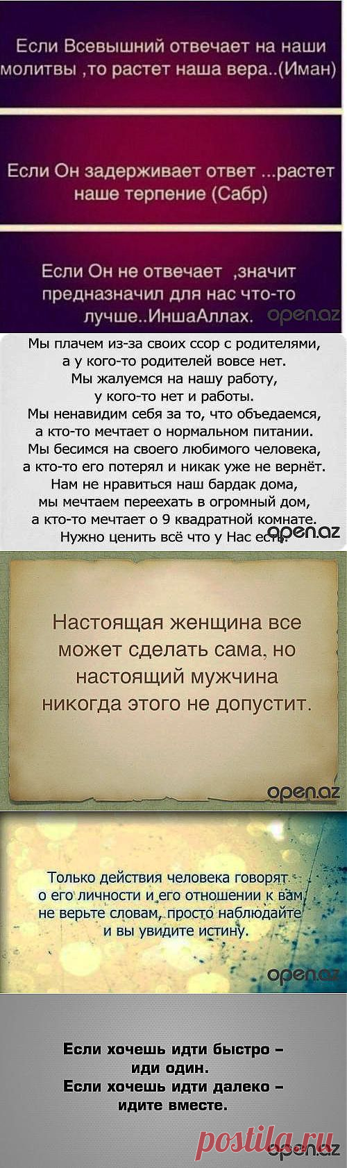 МУДРЫЕ СЛОВА