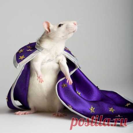 with different occupants