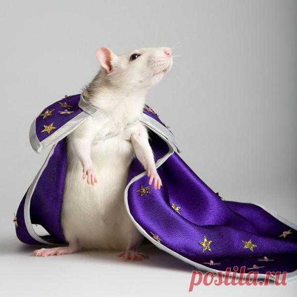 with different occupants