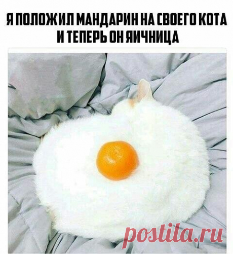 Просто яичница