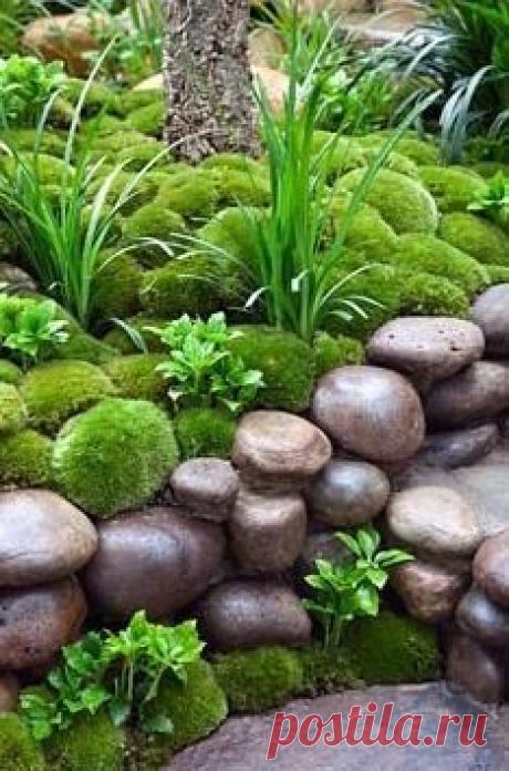 (1) Pinterest: Discover and save creative ideas