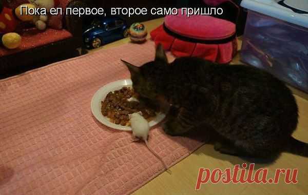 Интересные новости
