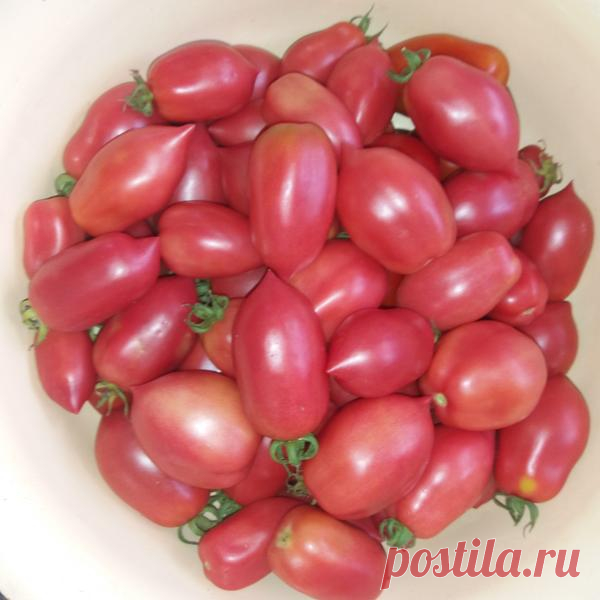 Сладкие и ароматные маринованные помидорки - всегда к столу!