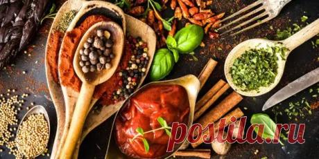 7 соусов, способных преобразить любое блюдо - Будет вкусно - Медиаплатформа МирТесен