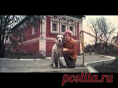 Белый Бим Черное ухо (2 серия) (1977) Полная версия