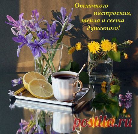 Живу не быстро, небогато... Пою... На кухне хлопочу...
Неспешно отмечаю даты.... Спешу... Звоню... Бегу... Лечу...
Ничьей судьбы не омрачаю... За всё &quot;спасибо&quot; говорю...
Не требую... Не докучаю... Целую... Балую... Прощаю...
Надеюсь... Верю И Люблю!...
Я живу, как могу...Никому не мешаю...
За ошибки свои - лишь себя осуждаю...
Да и то - не всегда, и не очень глобально...
Невозможно прожить свою жизнь идеально !!
...Невозможно : не плакать, не лгать, не ругаться