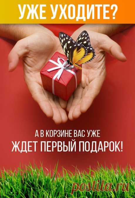Семена почтой по России в самом крупном интернет-магазине