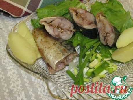 Скумбрия солёная из морозильной камеры