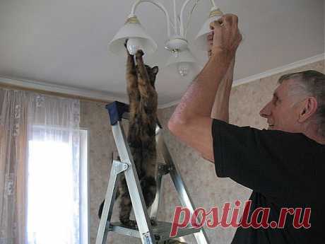 -давай быстрее ...помогу ...а потом покушаем!!!