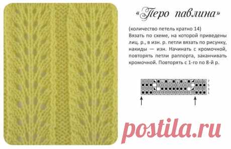 Перо павлина