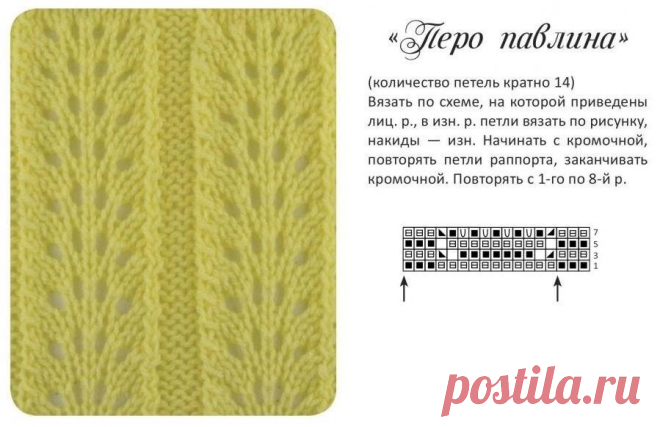 Перо павлина