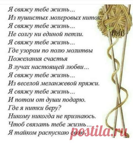 (5) Facebook
