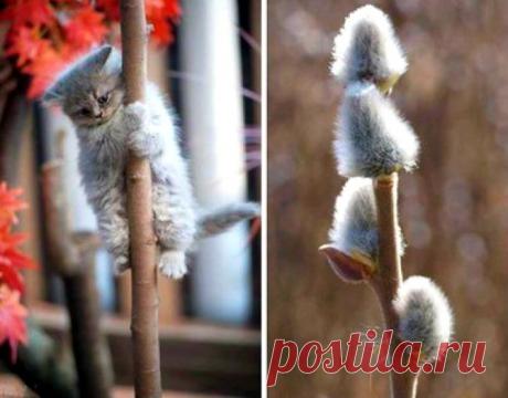 Мой Мир@Mail.Ru