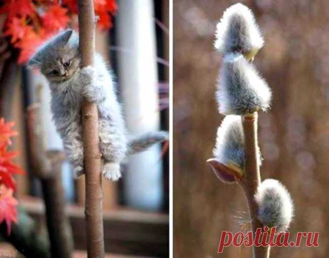 Мой Мир@Mail.Ru