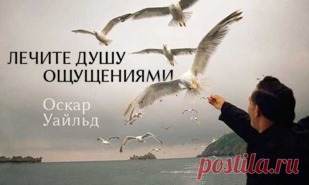 — А любовь? — Иллюзия. — А религия? — Распространённый суррогат веры. — Вы скептик. — Ничуть! Ведь скептицизм — начало веры. — Да кто же вы? — Определить — значит ограничить. — Ну дайте мне хоть нить!.. — Нити обрываются. И вы рискуете заблудиться в лабиринте. 25 цитат Оскара Уайльда — самого остроумного человека всех времен: ↪