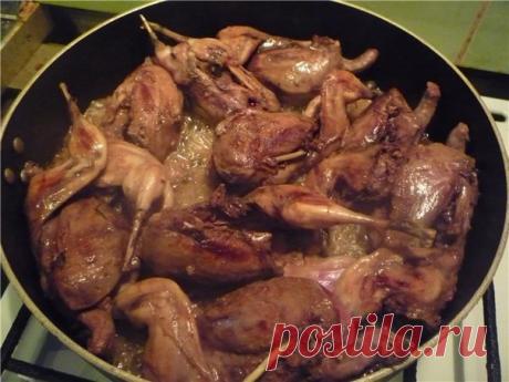 Мясо бекаса: свойства, способы и рецепты приготовления Птица бекас преимущественно водится в местах близ водоемов, очень любит сырость, а потому основной ареал обитания - это берега различных водоемов, болотистая местность и заливные луга. Давно эта птица является излюбленным объектом спортивной охоты по причине доступности и многочисленности. В России и на просторах СНГ обитает шесть видов бекаса, один из шести находится в Красной книге и охота на него запрещена. Охота и приготовление бекаса…