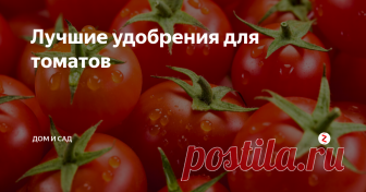 Лучшие удобрения для томатов
