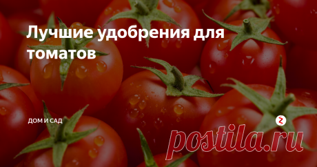 Лучшие удобрения для томатов