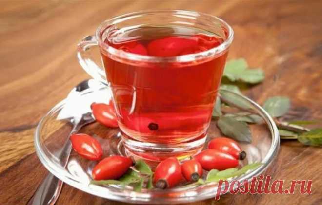 Отвар, чай и настой шиповника для похудения