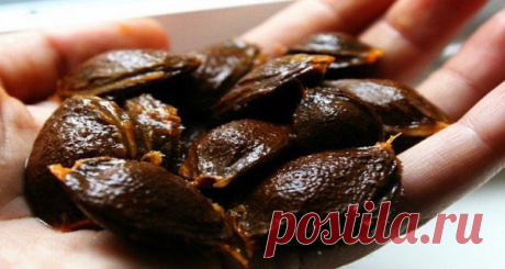 Витамин B17 запрещен, потому что он лечит рак! » Женский сайт InfoWoman.com.ua. Полезные советы для женщин