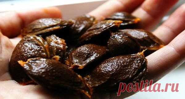 Витамин B17 запрещен, потому что он лечит рак! » Женский сайт InfoWoman.com.ua. Полезные советы для женщин